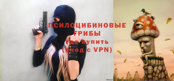 apvp Балахна