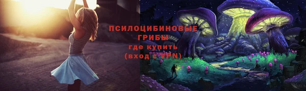 apvp Балахна
