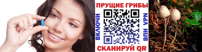 Галлюциногенные грибы Psilocybine cubensis  МЕГА ссылка  Саратов 